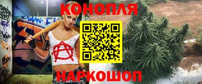 соль ск Можга