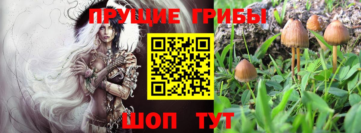 Псилоцибиновые грибы ЛСД  Вход с VPN  Ульяновск 